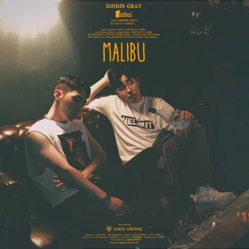 딘딘 (임철) Malibu(Feat. GRAY) 듣기/가사/앨범/유튜브/뮤비/반복재생/작곡작사
