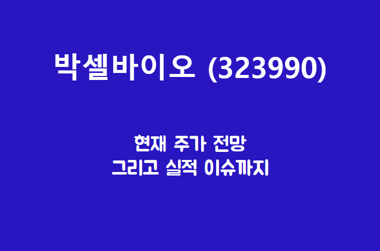박셀바이오 (323990) 주가, 실적, 전망, 기업분석