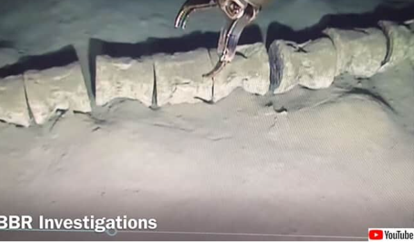 지중해 해저에서 발견된 수수께끼 같은 거대 생물의 뼈