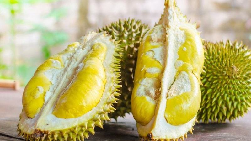 두리안 (Durian) 효능 & 부작용 - 노화방지