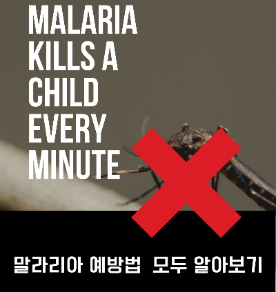 말라리아 주요 증상 및 임산부, 영유아 치료법 정리