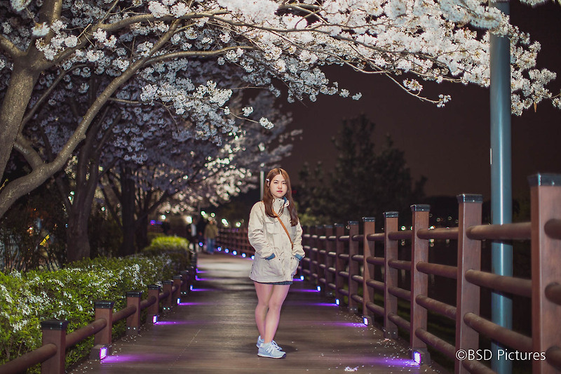 그녀와 함께한 수원 광교마루길 벚꽃축제