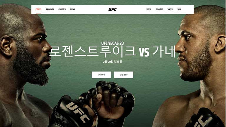 UFC 경기중계 로젠스트루이크 vs 가네 (2월 28일) 경기분석