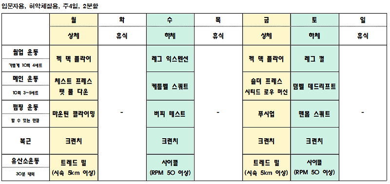 처음 운동하는 사람을 위한 헬스 루틴(허약체질 입문자용)