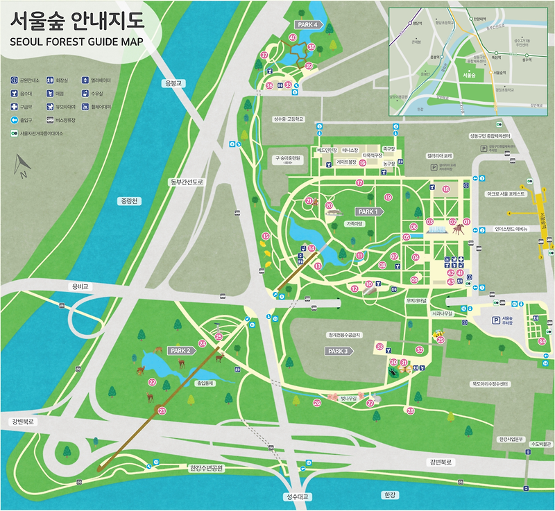 서울숲 놀거리 아이들과 함께하기 좋은 18가지 장소