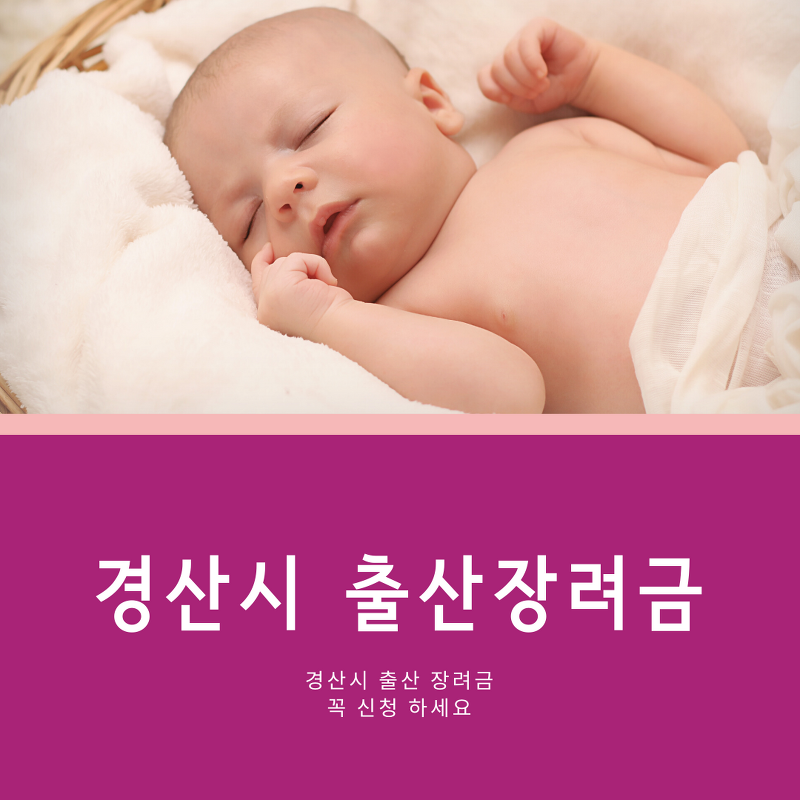 경산시 출산장려금 및 경산시 지원 무료 보험 정보