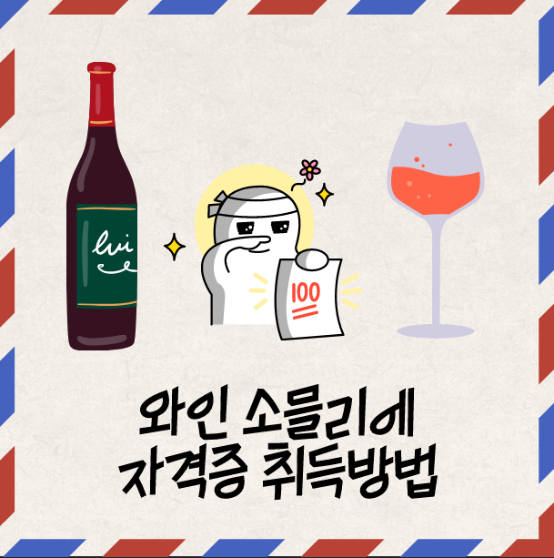 [직장인 자기계발] 와인 소믈리에 자격증 (온라인 취득 방법 총정리)