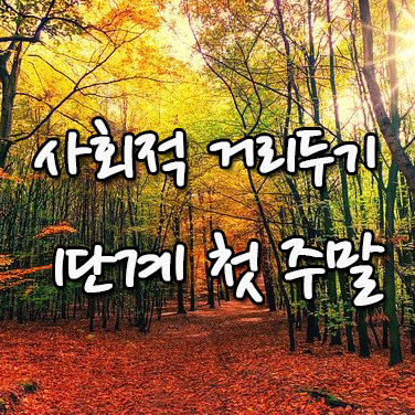 사회적 거리두기 1단계 첫 주말 - 단풍절정