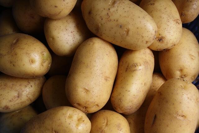 감자 효능 칼로리 좋은 감자 고르는법 보관방법