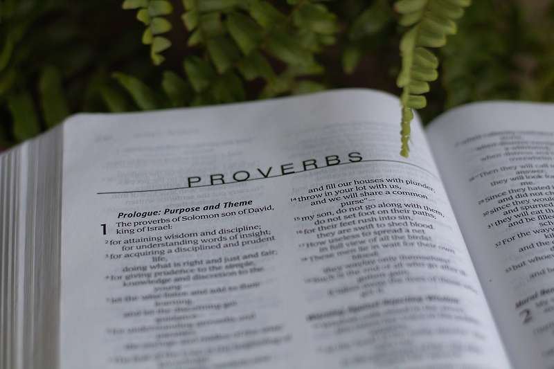 잠언 4장 - Proverbs 4 : 1~27