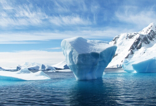 녹아내리는 빙하, 지구 온난화의 경고 그리고 대책은?