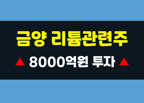 금양 2차전지, 리튬 관련주 8000억원 투자