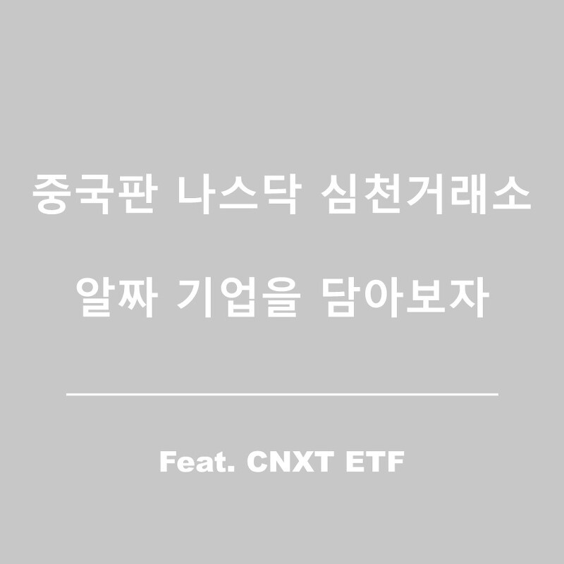 CNXT ETF(미국주식) - 중국판 나스닥 심천거래소 성장주에 투자