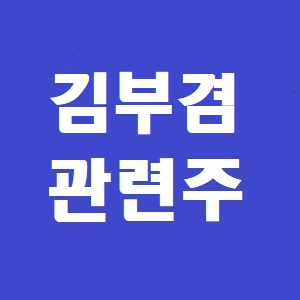 김부겸 관련주 대장주 저평가 종목은?!