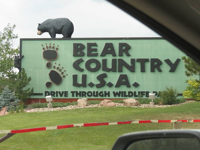 [USA여행] 재미있는 Bear's Country 사파리 동물원, 사우스다코다여행