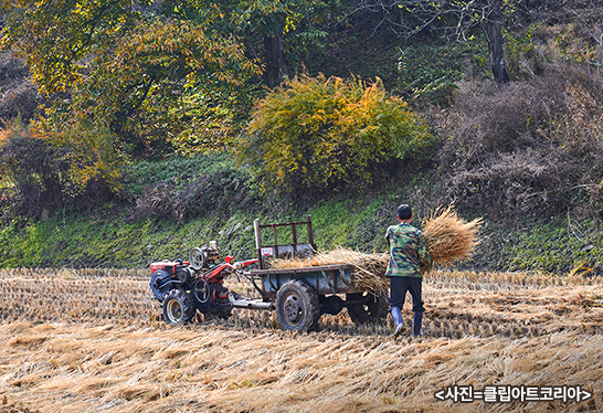 가을 수확기 농기계 사고 예방법