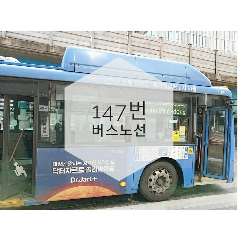 진아교통 147번 버스 이용