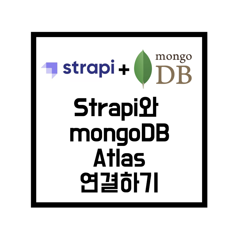 [Strapi] strapi api와 mongoDB Atlas 연결하기