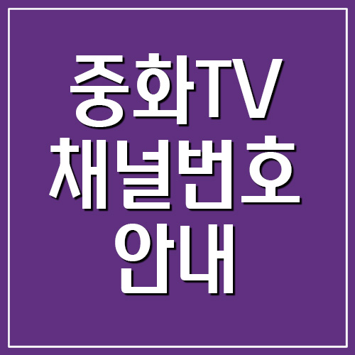 중화TV 채널번호 안내