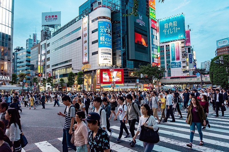 시대를 앞서가는가 했으나 전통에 갇혀버린 일본