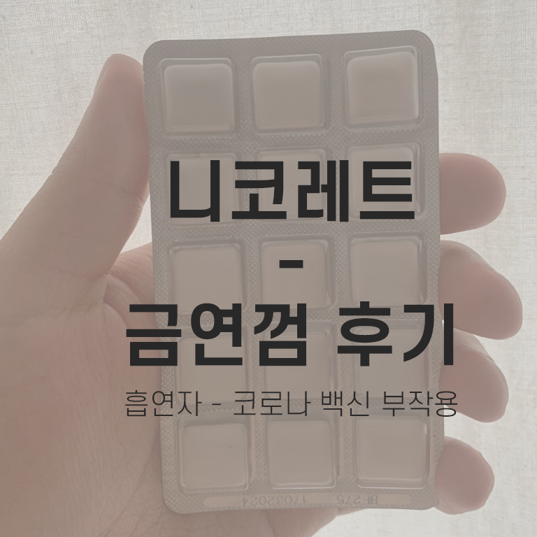 [제품 후기] 니코레트, 금연껌 후기 _ 30살, 금연을 시작하다