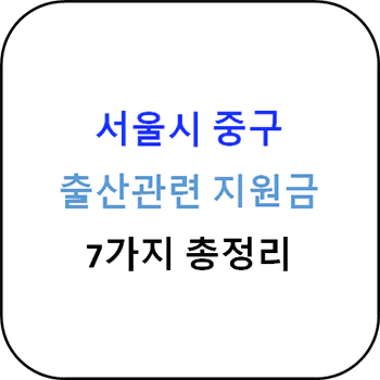 2024년 서울시 중구 출산지원금 7종 완벽 가이드