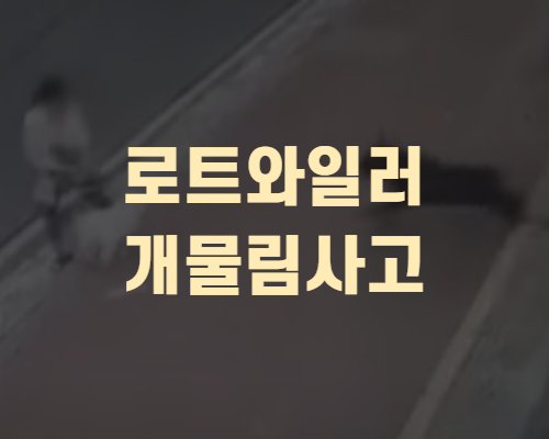 로트와일러 충격적인 개물림사고 움짤영상(+분노주의)