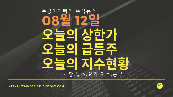 19년 08월 12일  상한가,급등주,지수분석