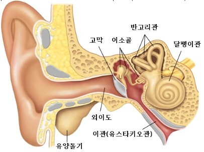 귀 가려움과 통증 원인 - 이어폰 사용 수칙(귀 질환 피하기)