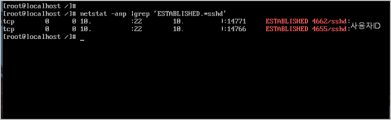 리눅스 현재 ssh 접속 유저 확인하기