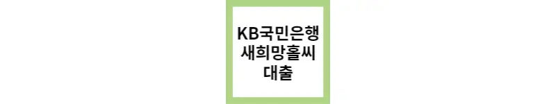 KB 국민은행 새희망홀씨 신용대출
