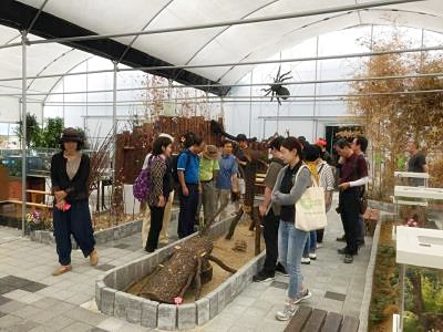 서울시, '곤충산업 전문인력 교육' 과정 참여자 모집