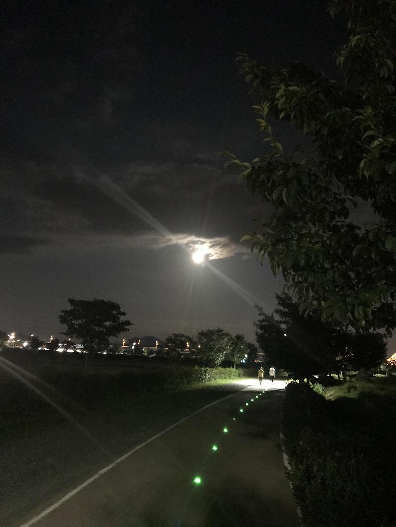 [부자들의 취미생활]야간 산책