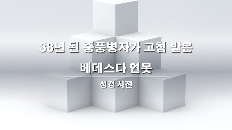 성경 사전 38년 된 중풍병자가 고침 받은 베데스다 연못