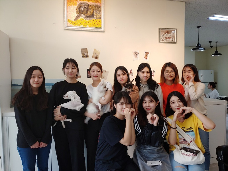 숙명여대 학생들의 유기동물 자원봉사 이야기