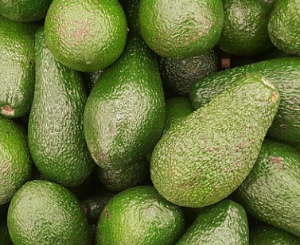 아보카도(Avocado) 효능 및 먹는 방법