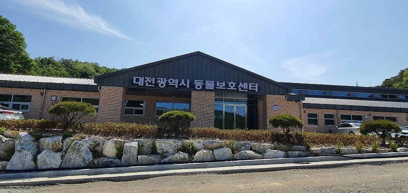 유기동물 입양 활성화 및 생명존중 문화 정착을 위해 노력하는 '대전시 동물보호센터'