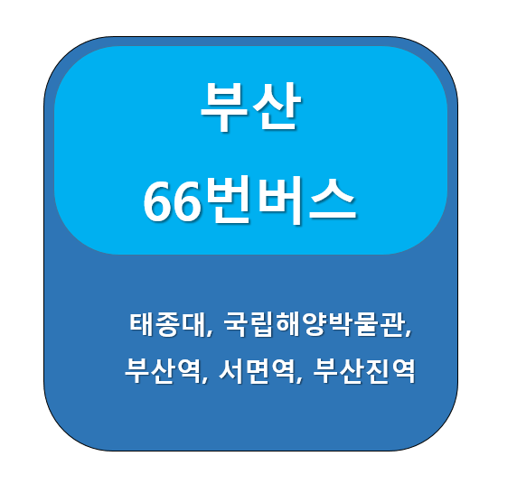 부산 66번 버스 노선 정보, 태종대 ↔ 당감주공아파트
