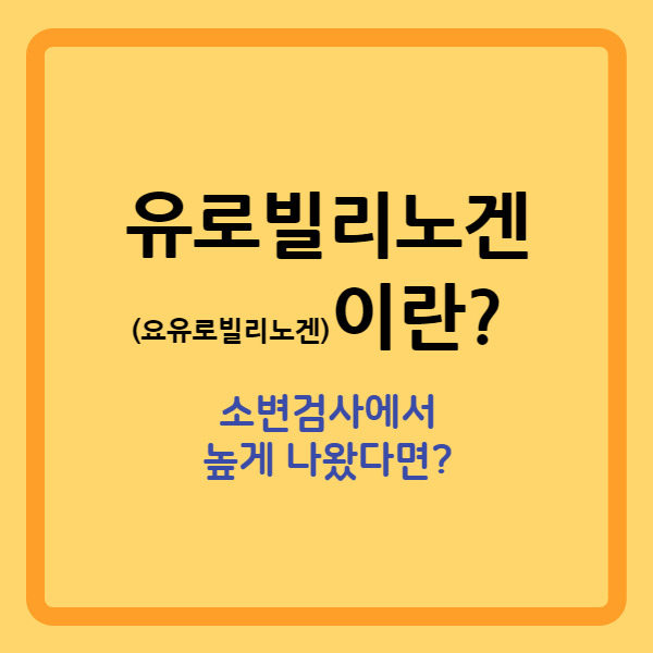 '유로빌리노겐'이란? 소변검사에서 유로빌리노겐이 높게 나왔다면?