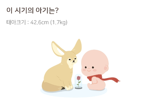 [임신32주차] 배뭉침과 조기진통, 태아발달과 배크기, 몸무게 증가 7kg