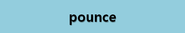 뉴스로 영어 공부하기: pounce (덮치다)