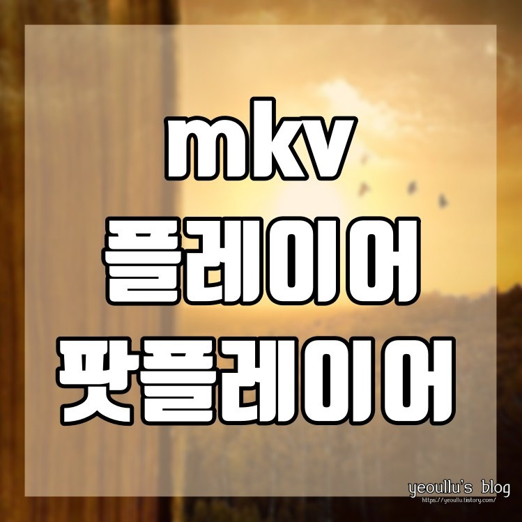 mkv 영상재생 플레이어 프로그램 팟플레이어