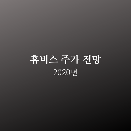 휴비스 주가 2020년 전망