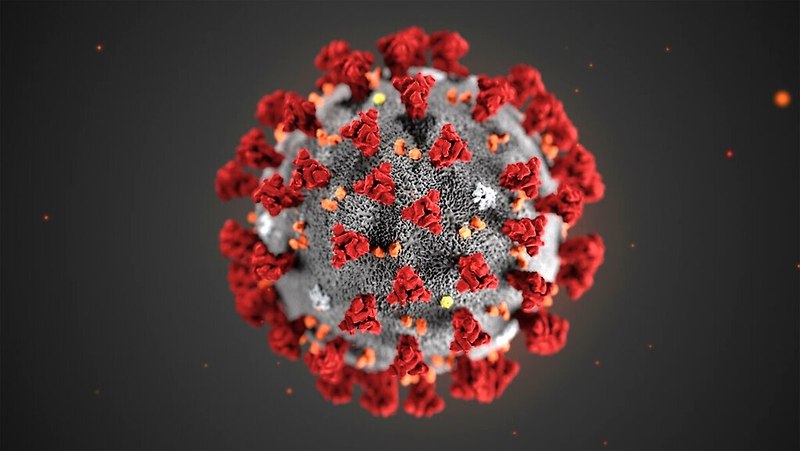 코로나 바이러스로 인해, 우리가 세상을 보는 방식을 바꿀 수 있는 12가지 방법들