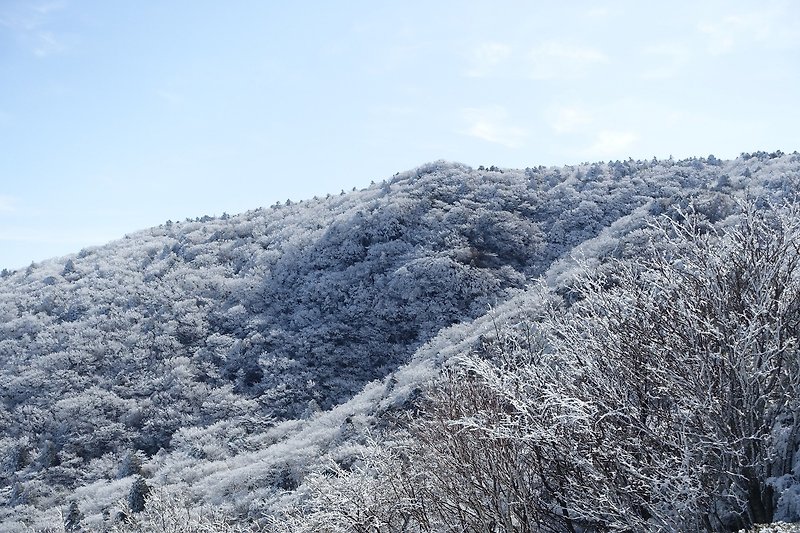 겨울 등산 2월 눈꽃산행 월출산 국립공원