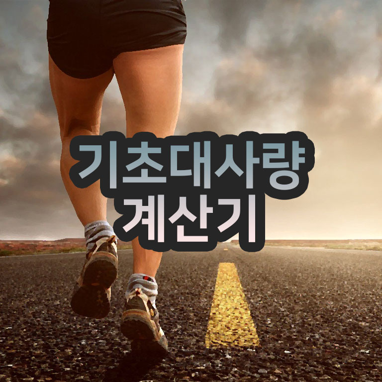 기초대사량 계산기로 쉽고 간단하게 기초대사량 측정하세요!