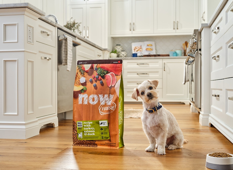 Petcurean Announces Global Brand Refresh of NOW FRESH Collection for Cats and Dogs