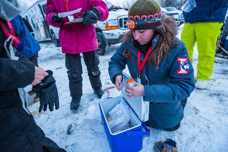 알래스카 개썰매 대회 '이디타로드' 출전견도 약물 테스트를 받는다?!