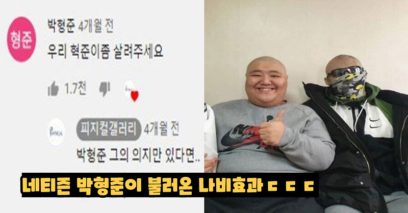 네티즌 박형준이 불러온 '유튜브 모든 논란의 나비효과'ㄷㄷㄷ