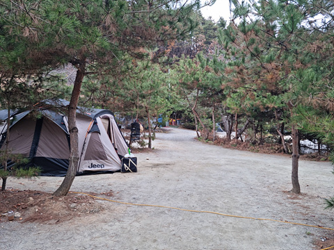 안성 산우물 캠핑장 방문 후기